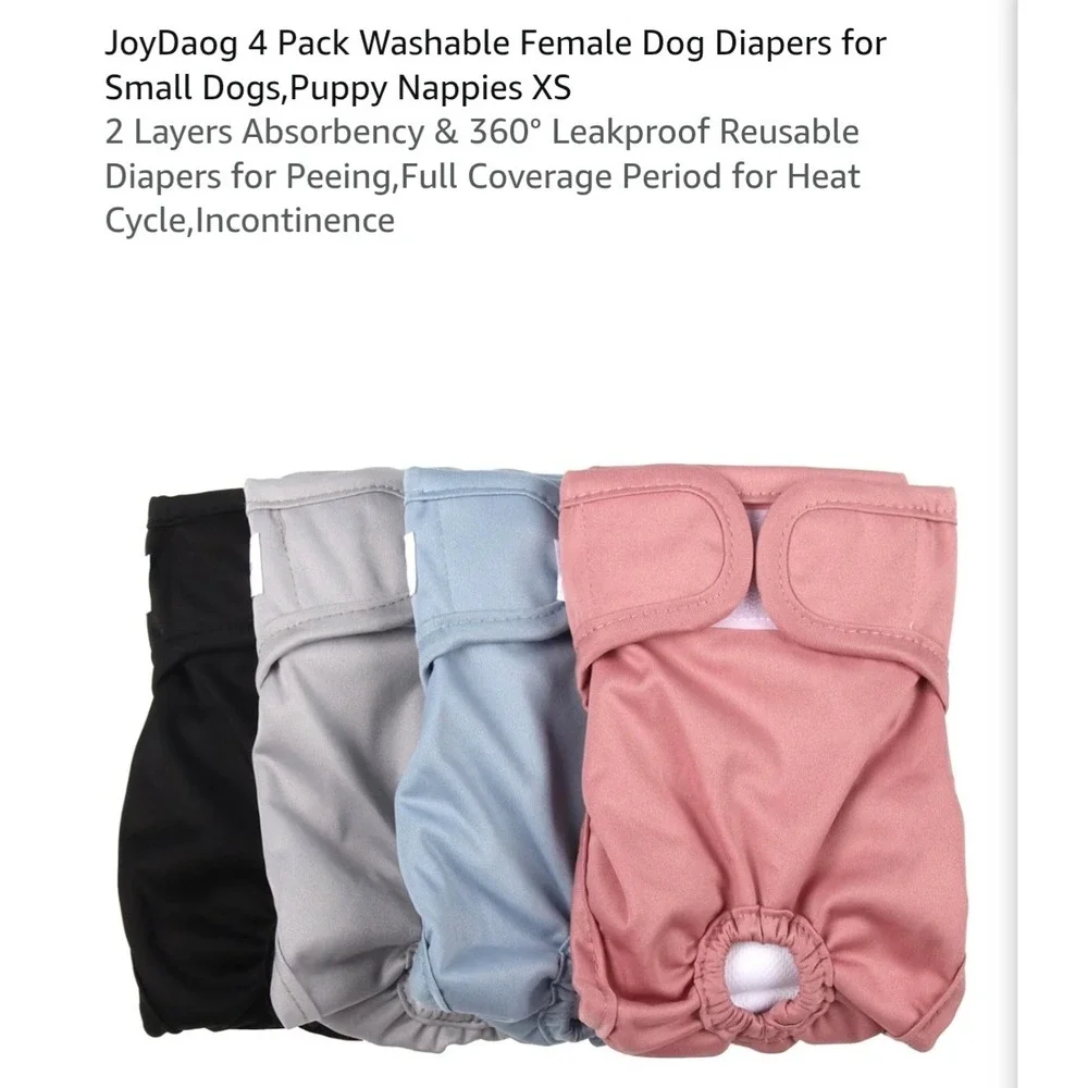 Joy Dog joy dog